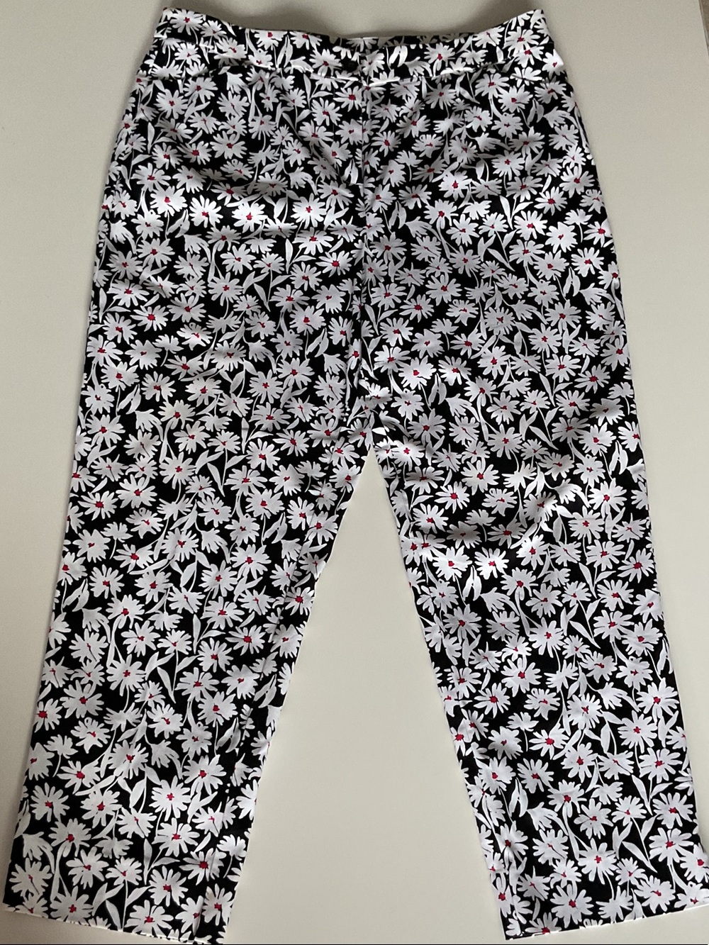 Appleseed's Black Floral Cropped Pants 14P